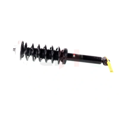 Kuva GH 331565C01 Joustintuki Taka akseli, oikea, Vasen, vasen BMW: 7
