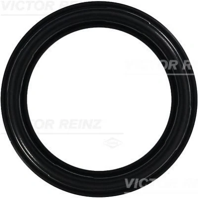 Kuva REINZ 71 35659 00 Venttiilikopan Tiiviste FIAT: Punto II Hatchback