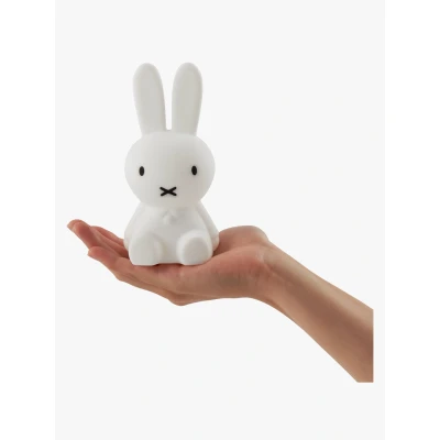 Kuva Mr Maria Miffy Bundle of Light Valaisin