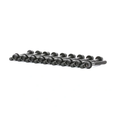 Kuva Sylinterikannen pulttisarja NISSAN NAVARA, NP300 PICKUP, PICK UP, X TRAIL I OE 11056 7F400, AD200(x18), G2401