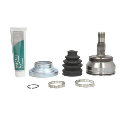 Kuva Nivelsarja, vetoakseli PASCAL G1M019PC