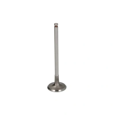 Kuva FRECCIA R6806/RNT Pakoventtiili 26,1 Venttiilivarsi nitrattu PEUGEOT: 407 SW, 607 Sedan, CITROËN: C3 Picasso