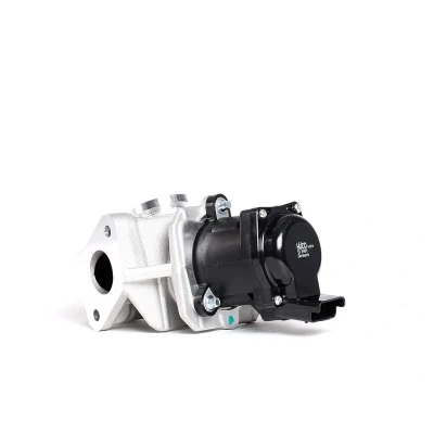 Kuva HITACHI 138481 EGR Venttiili Hueco Sähköinen Magneettiventtiili Tiivisteillä CITROËN: Jumpy II MPV, C5 III Farmari, Berlingo II, FORD: Focus 2 Kombi
