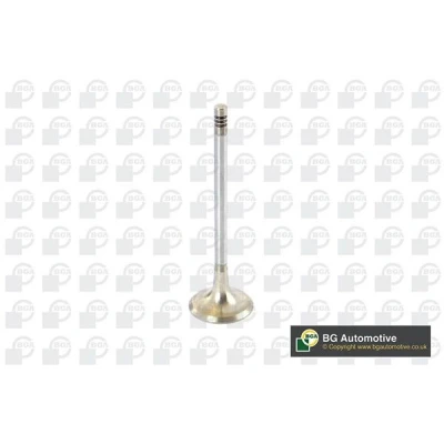 Kuva Pakoventtiili BMW OE 11341738219, 11341739821, 11341739823