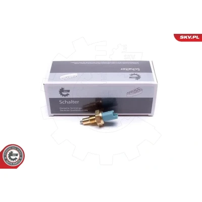 Kuva ESEN SKV 38SKV824 Peruutusvalon Kytkin RENAULT: SCENIC 2