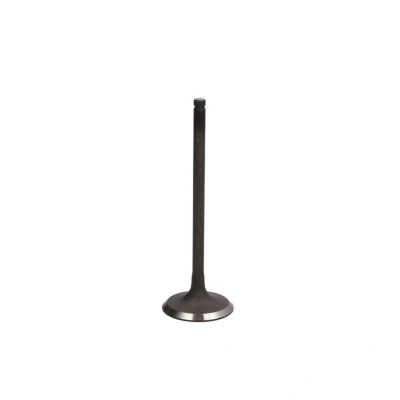 Kuva FRECCIA R6294/SNT Imuventtiili 33,9 Venttiilivarsi nitrattu