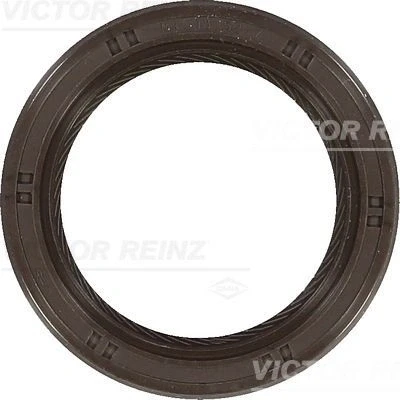 Kuva REINZ 81 53467 00 Nokka Akselin Tiiviste HYUNDAI: Terracan