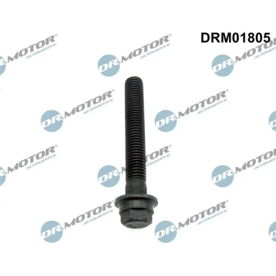 Kuva DR.MOTOR AUTOMOTIVE DRM01805 Hihnapyörän Ruuvi