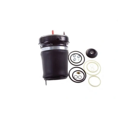 Kuva Ilmajousi, jousitus, Etuakseli, oikea BMW X5 [E53] OE 37 11 6 757 502, 761 444 AS,