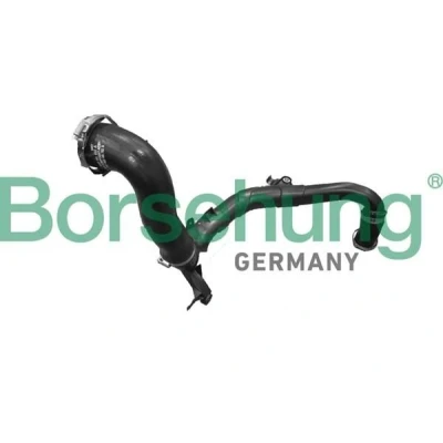 Kuva Borsehung B12353 Ahdinletku