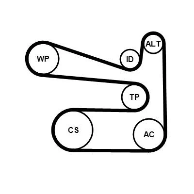 Kuva CONTITECH 6PK1693WP1 Vesipumppu + Vetohihnasarja SKODA: Octavia 2 Combi