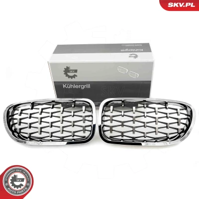 Kuva ESEN SKV 66SKV192 Etusäleikkö Hopea BMW: 5 Sedan, Touring