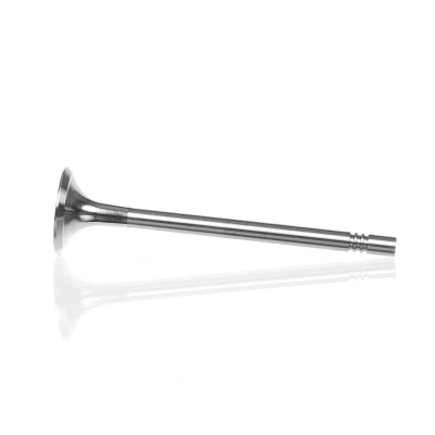 Kuva Pakoventtiili, Poistopuoli AUDI, SEAT, SKODA, VW OE 03L 109 611, 03L109611