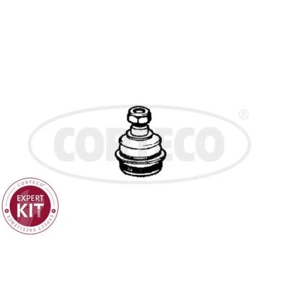 Kuva Pallonivel CORTECO 49395702
