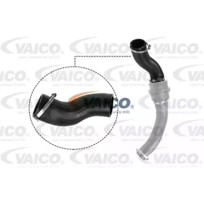 Kuva VAICO V25 1057 Ahdinletku Kumi kudosvahvikkeella Q+, original equipment manufacturer quality FORD: Transit Mk6 Bussi, Van
