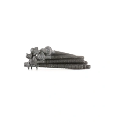 Kuva FEBI BILSTEIN 24074 Kannen Pultit Torx, ulko RENAULT: CLIO 2, 3, Kangoo I, NISSAN: Qashqai Tiida Sedan, Almera II Hatchback, DACIA: Duster SUV