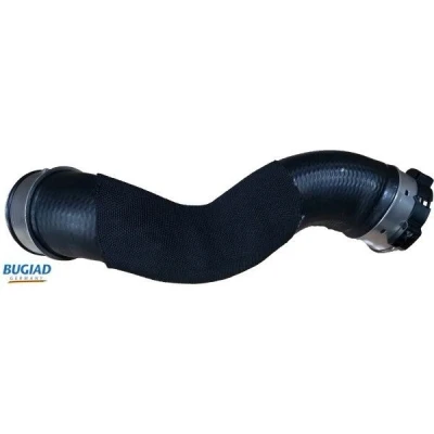 Kuva BUGIAD 82065 Ahdinletku