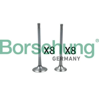 Kuva Borsehung B18637 Imuventtiili VOLKSWAGEN: Transporter 5, Multivan 5 (7HM, Golf AUDI: A4 B7 Sedan, B8 A3 Hatchback