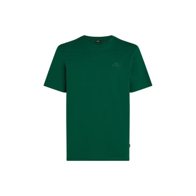 Kuva O&#039;Neill Small Logo T paita sininen