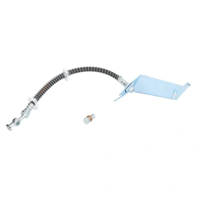 Kuva DELPHI LH0406 Jarruletku 324 M10x1 Int SF
