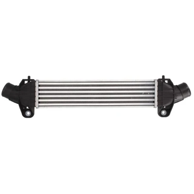 Kuva THERMOTEC DAG009TT Välijäähdytin Alumiini, Muovi 412 X 91 85 mm