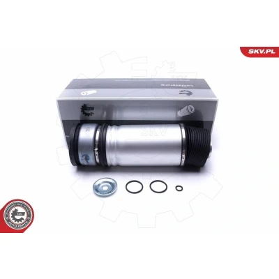 Kuva ESEN SKV 58SKV063 Ilmajousitus Taka akseli, oikea BMW: 7