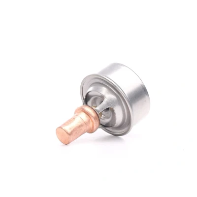 Kuva MAGNETI MARELLI 352317101130 Termostaatti 89 Ilman tiivisteitä RENAULT: TWINGO 1, CLIO 12 Sedan