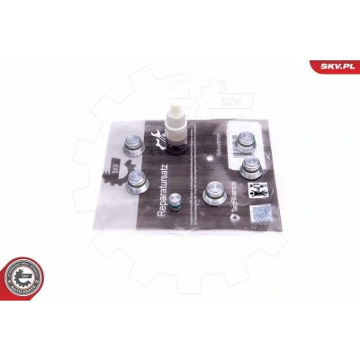 Kuva Korjaussarja, imusarjamoduuli ALFA ROMEO, FIAT, LANCIA OE 46823854, 55206466