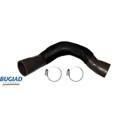 Kuva BUGIAD 82582 Ahdinletku Kuorilla