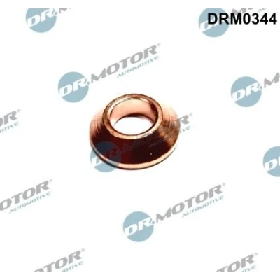 Kuva DR.MOTOR AUTOMOTIVE DRM0344 Ruuvi Ruiskutussuutinpidike