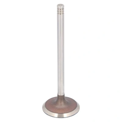 Kuva FEBI BILSTEIN 183492 Imuventtiili 33,45 RENAULT: CLIO 3, 2, DACIA: Duster SUV