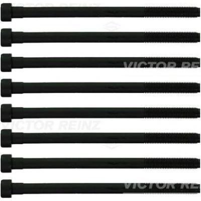 Kuva REINZ 14 10276 02 Kannen Pultit Torx, sisä