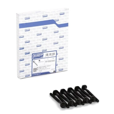 Kuva AJUSA 81022300 Kannen Pultit Torx, ulko 10 RENAULT: CLIO 2, Kangoo I, 1, PEUGEOT: 206 Hatchback