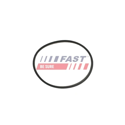 Kuva FAST FT49470 Pakosarjan Tiivisteet lämpösuojapellillä FORD: Transit Courier Van, FOCUS 3, C Max 2