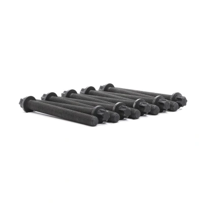 Kuva Sylinterikannen pulttisarja BMW OE 11121713200, 11121715398, 11121721938(x10)