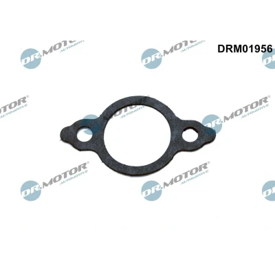 Kuva DR.MOTOR AUTOMOTIVE DRM01956 Tiiviste, EGR Venttiilin Johdin