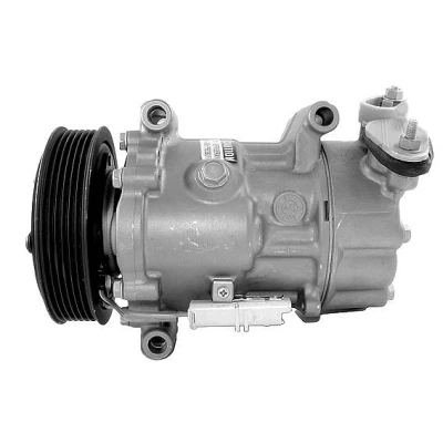 Kuva Airstal 10 0898 Ilmastoinnin Kompressori PAG 46 R134a PEUGEOT: 307 Farmari, 206 SW, 607 Sedan, CITROËN: Xsara Picasso