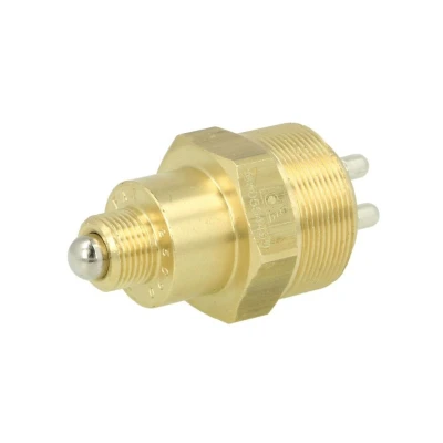 Kuva DT Spare Parts 4.61819SP Kytkin