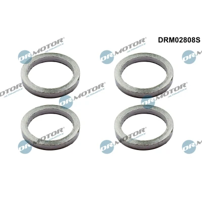 Kuva DR.MOTOR AUTOMOTIVE DRM02808S Tiivistesarja, pakosarja