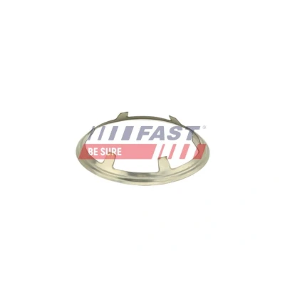 Kuva FAST FT84616 Pidike, Pakoputkisto 70 PEUGEOT: 206 Hatchback, 406 Farmari, 307 SW, CITROËN: C4 Coupe, Berlingo / First I, DS5 Hatchback
