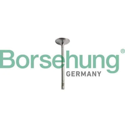 Kuva Borsehung B10351 Imuventtiili MERCEDES BENZ: C sarja T modell