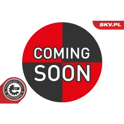 Kuva Sensori, pakokaasupaine ESEN SKV 17SKV037