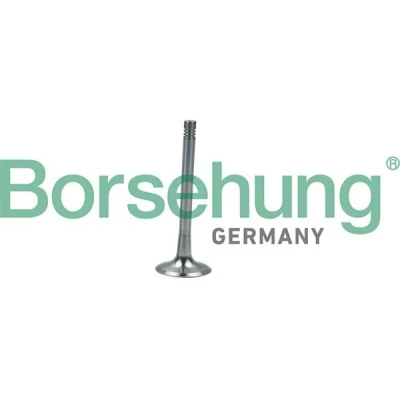 Kuva Borsehung B19008 Pakoventtiili AUDI: A4 B6 Sedan, B7 Avant, VOLKSWAGEN: Passat Variant, Touran I, Sharan II