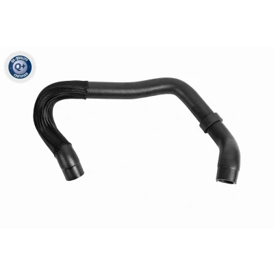 Kuva VAICO V10 8879 Jäähdyttimen Letku Oikea EPDM (eteenipropeeni dieeni kumi) VOLKSWAGEN: Golf 5, Touran I, SEAT: Altea XL, AUDI: A3 Sportback