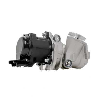 Kuva PIERBURG 7.24809.39.0 EGR Venttiili Sähköinen Magneettiventtiili Tiivisteillä VOLVO: V70 3, V50, S40 II, CITROËN: Jumpy II MPV, C5 III Farmari