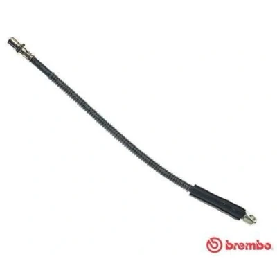 Kuva BREMBO T 41 002 Jarruletku 455 F10X1,25