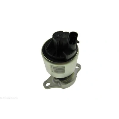 Kuva AUTOMEGA 140026310 EGR Venttiili OPEL: Astra G CC, Sedan, Caravan