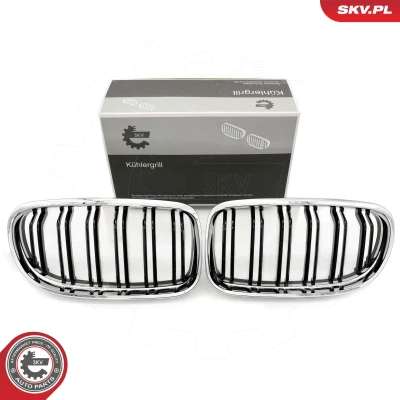 Kuva ESEN SKV 66SKV102 Etusäleikkö Kromi BMW: 3 Coupe