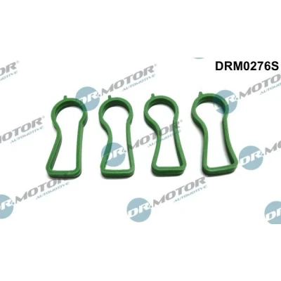 Kuva DR.MOTOR AUTOMOTIVE DRM0276S Tiivistesarja, Imusarja