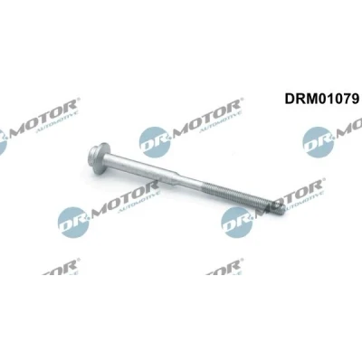 Kuva DR.MOTOR AUTOMOTIVE DRM01079 Ruuvi Ruiskutussuutinpidike AUDI: A6 C7 Avant, A4 B8 Q5, VOLKSWAGEN: Passat B7 Variant, SKODA: Yeti